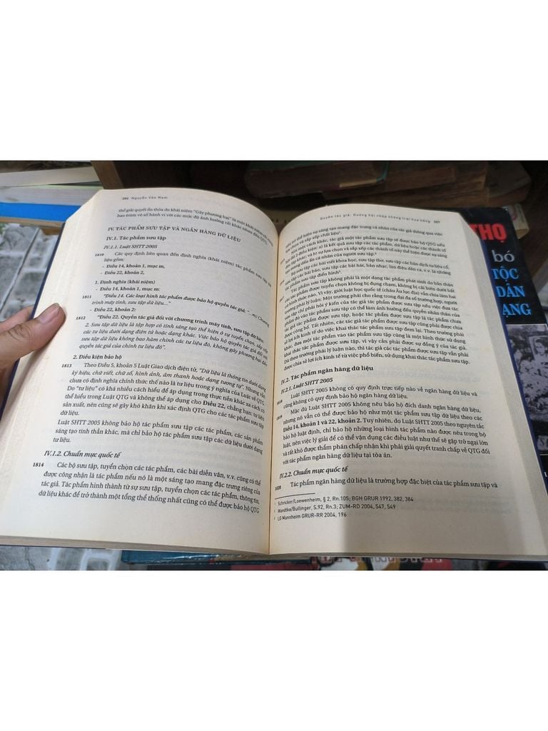  Quyền Tác Giả Đường Hội Nhập Không Trải Hoa Hồng - Nguyễn Vân Nam 