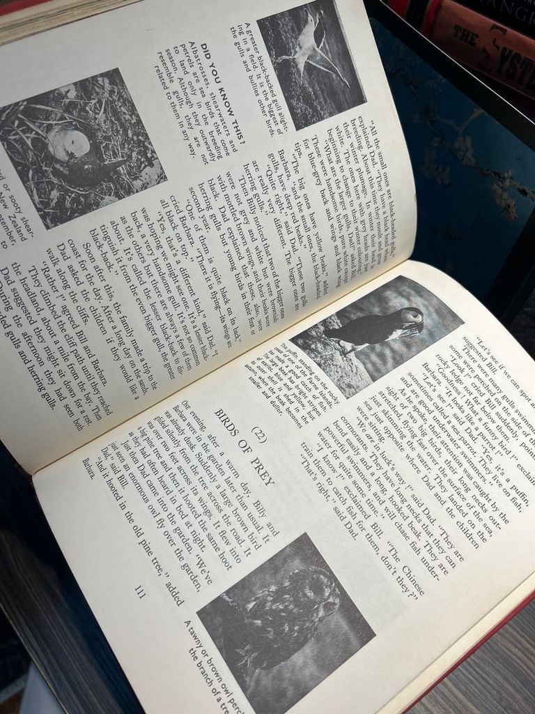  The Modern Children's Library Of Knowledge (Set 6 Books) 