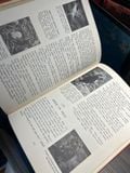 The Modern Children's Library Of Knowledge (Set 6 Books) 