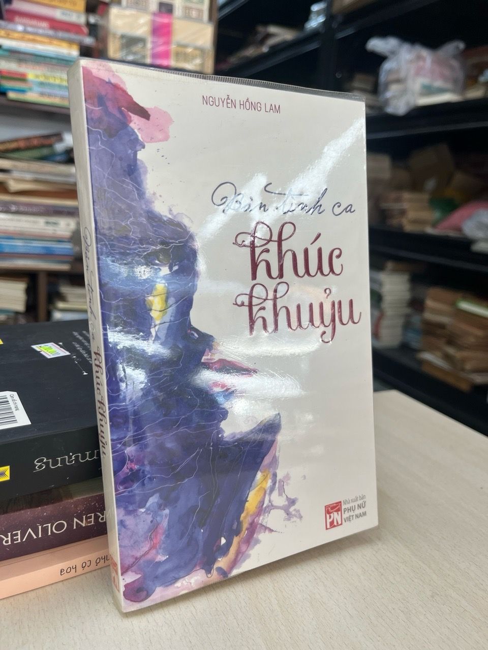  Bản tình ca khúc khuỷu - Nguyễn Hồng Lam 