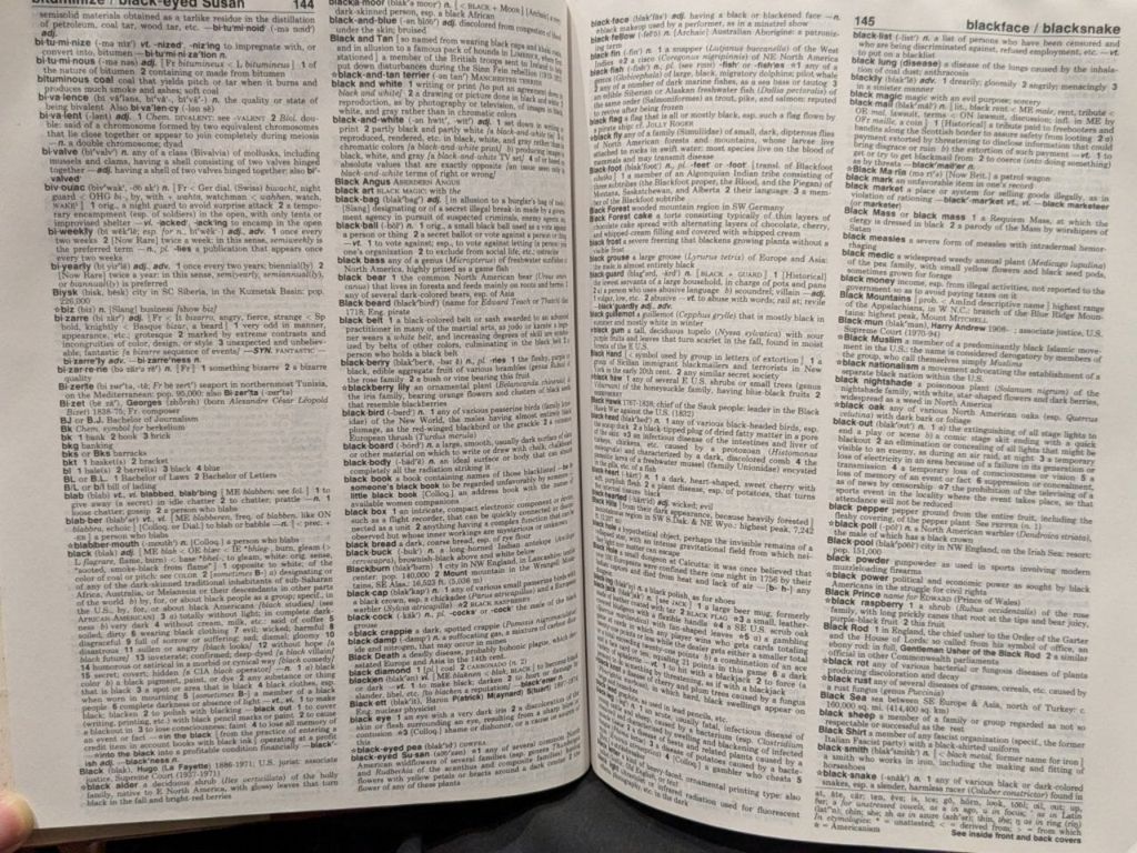  Webster's New World College Dictionary 