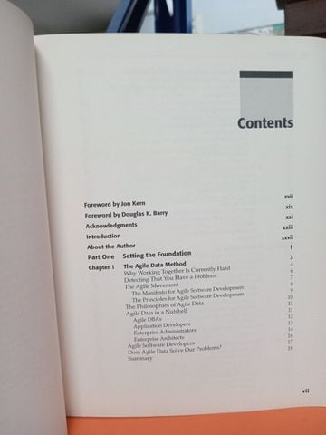  Agile Database Techniques - Scott W. Ambler 