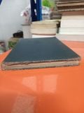  Pleuropneumonia Like Organisms (Pplo) Mycoplasmataceae - E. Klieneberger Nobel 