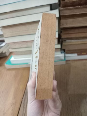  Arthur the king - Allan Massie 