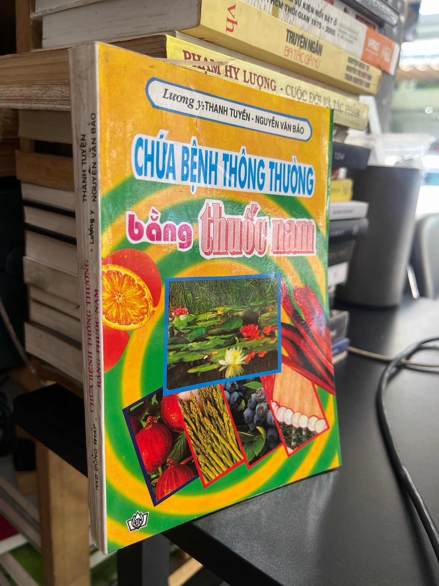  Chữa bệnh thông thường bằng cây thuốc nam - Lương y Thanh Tuyền, Nguyễn Văn Bảo 
