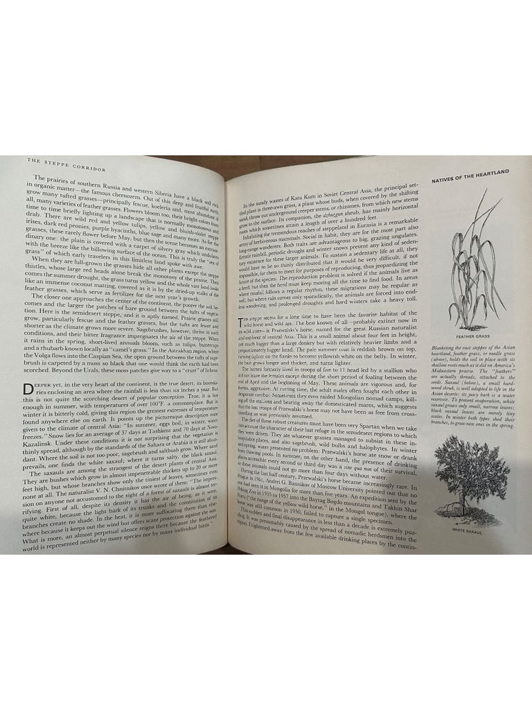  LIFE Nature Library : The Land And Wildlife Of Eurasia 