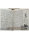  LIFE Nature Library : The Land And Wildlife Of Eurasia 