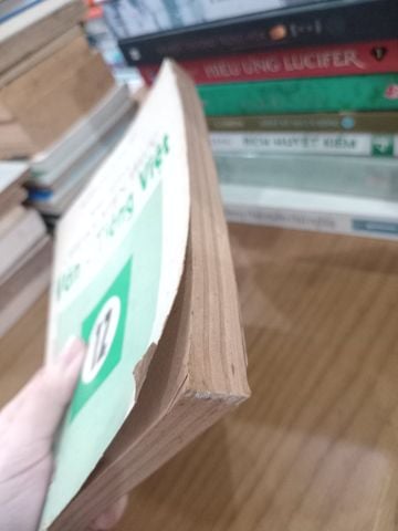  Tài Liệu Chuẩn Kiến Thức Văn Tiếng Việt 