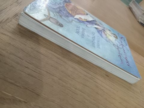 Shadowscapes Companion - Stephanie Pui-mun Law & Barbara Moore