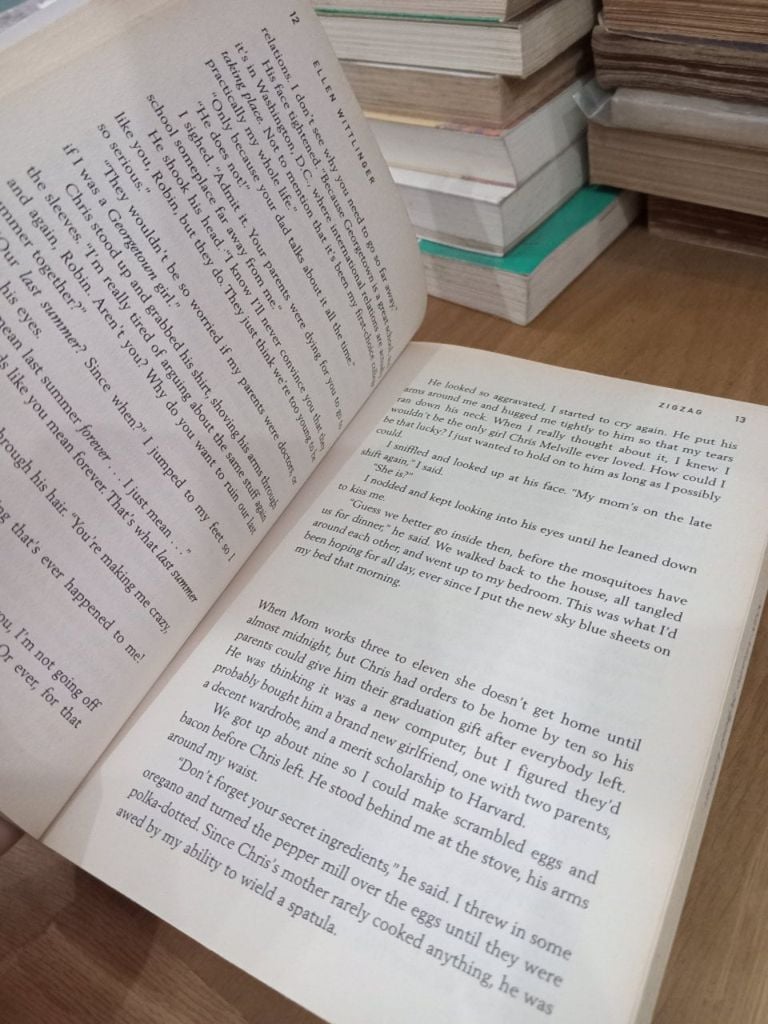  Zig Zag - Ellen Wittlinger 