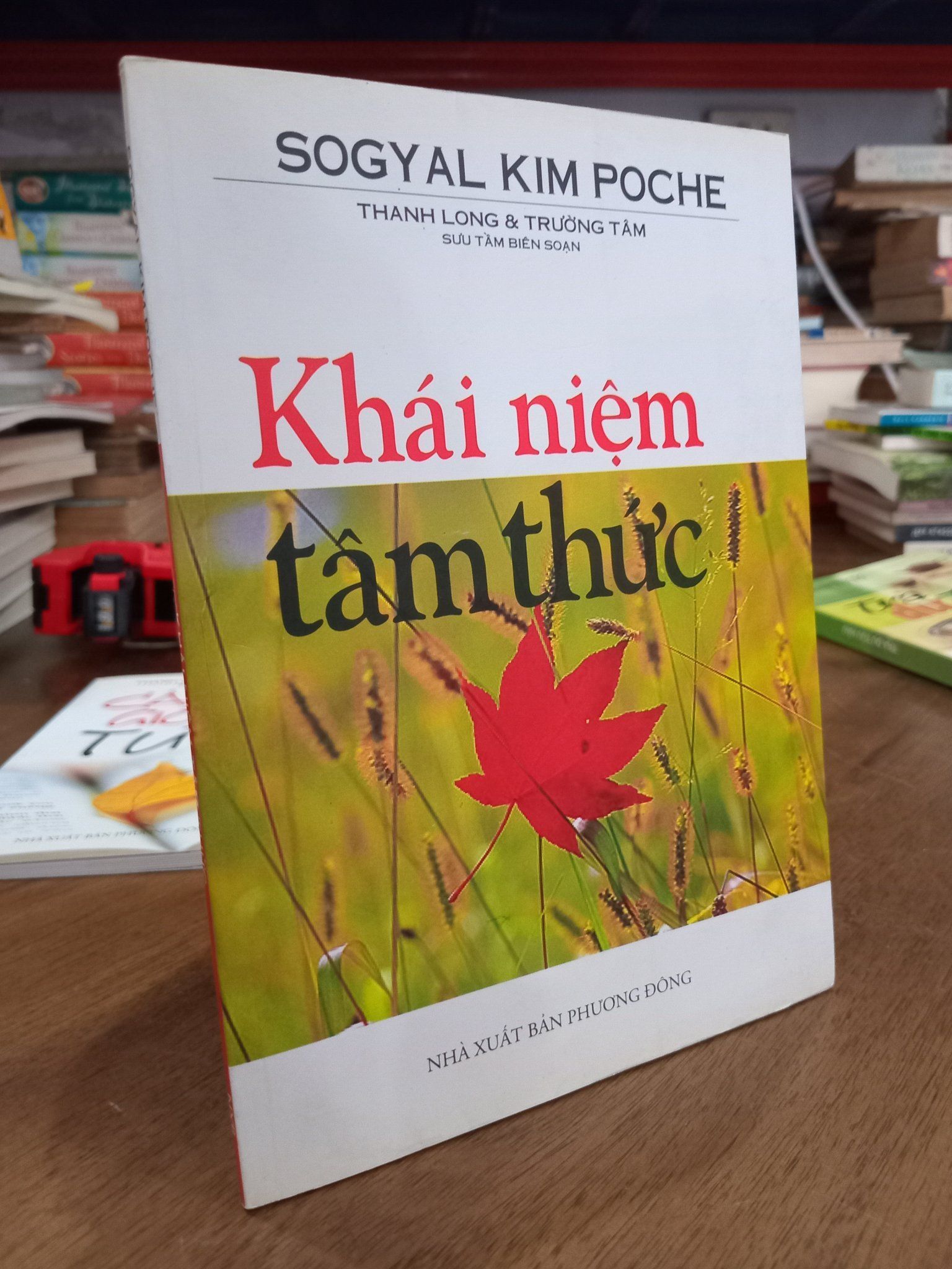  Khái niệm tâm thức - Sogyal Kim Poche, Thanh Long & Trường Tâm biên soạn 