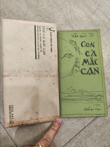 Con Cá Mắc Cạn - Doãn Quốc Sỹ