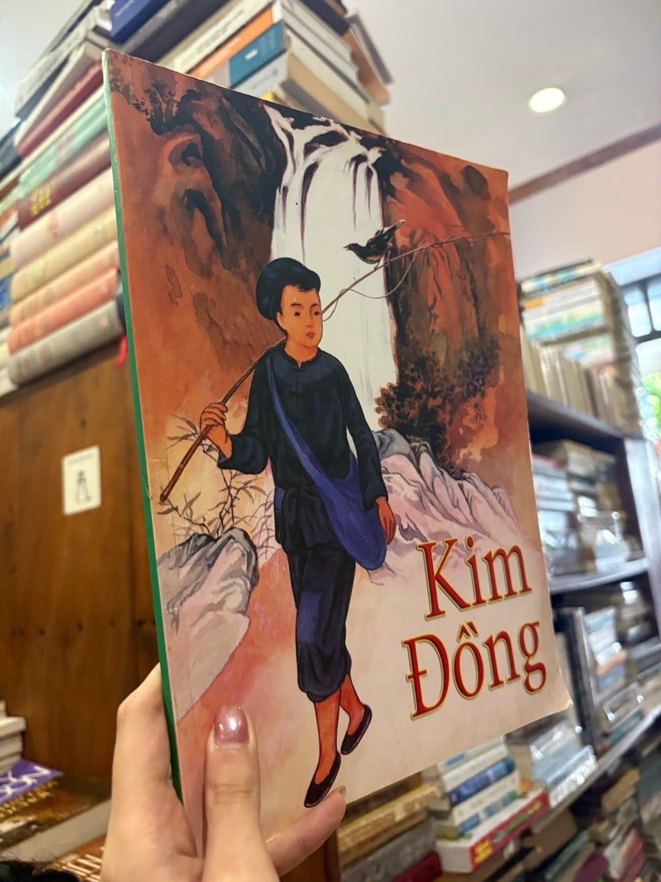  Kim Đồng - Tô Hoài 