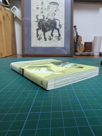  Truyện tranh sư tử sóng đôi - Furuya Nagisa 