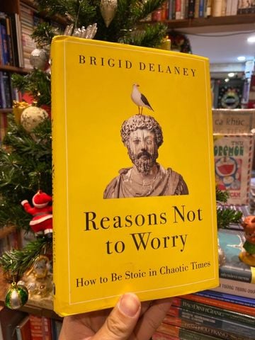 Reasons Not to Worry - Brigid Delaney