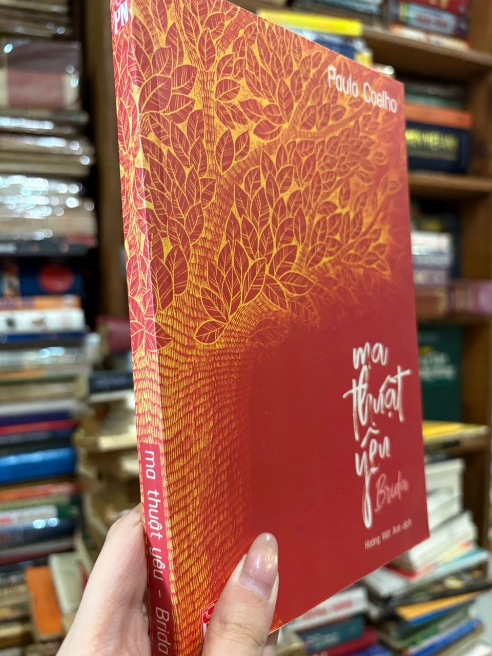  Ma thuật yêu Brida - Paulo Coelho 