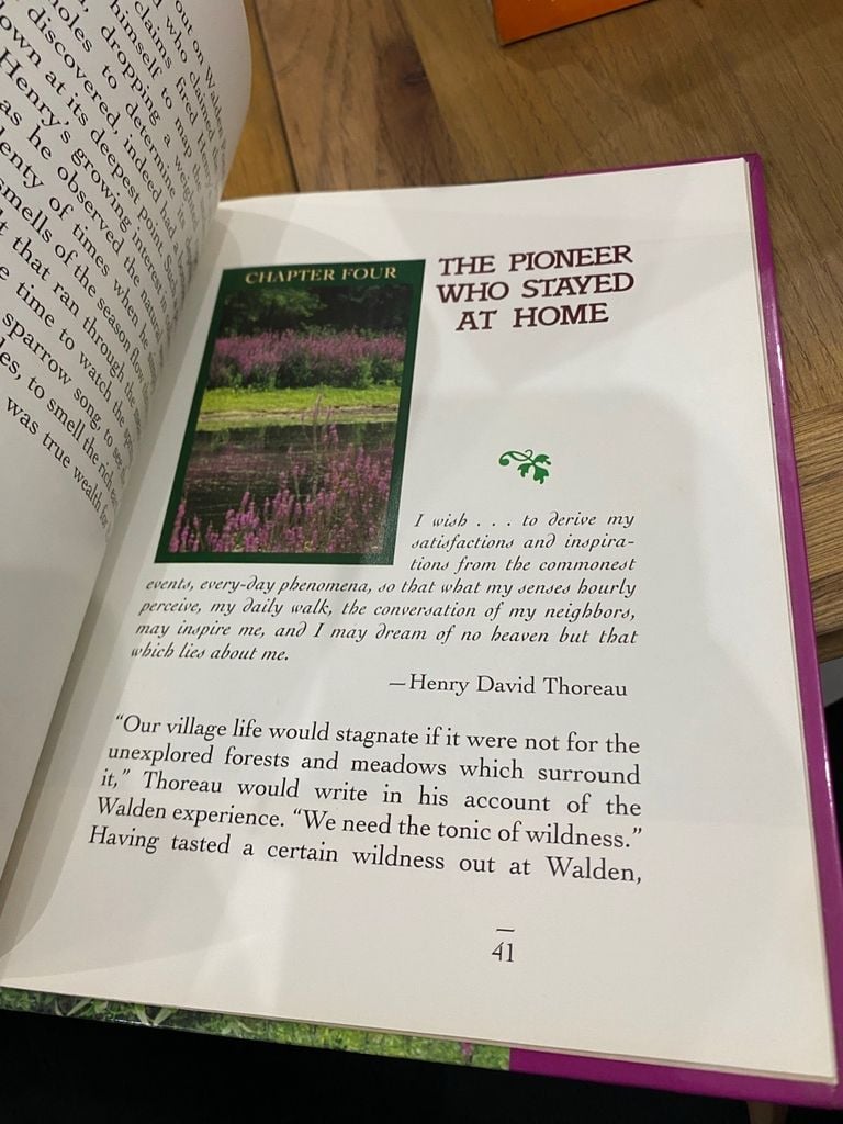  Henry David Thoreau (American Naturalist ) - Peter Anderson 