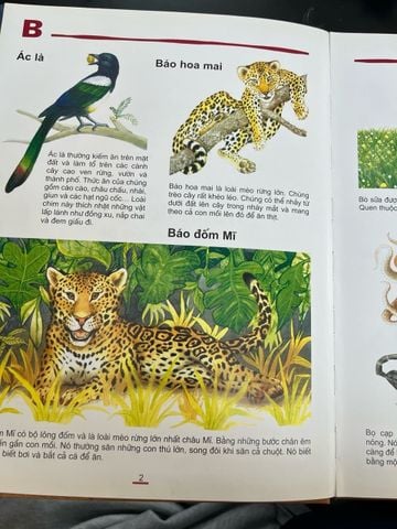 Từ Điển Tranh Động Vật Đầu Tiên của Bé - Amrei Fechner