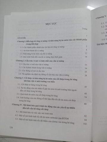 Độ Bền Kết Cấu Bê Tông Cốt Thép trong Các Công Trình Ven Biển - TS. Ngô Việt Đức