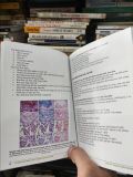  Chuẩn Đoán Bệnh Học Ung Thư Phổi - Hội Giải Phẫu Bệnh - Tế Bào Bệnh Học Việt Nam 