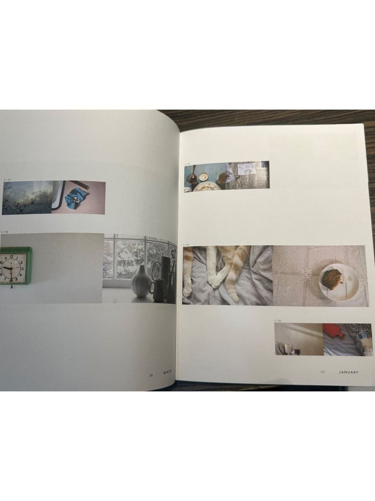  A Year Of Mornings - Maria Alexandra Vettese, Stephanie Congdon Barnes 