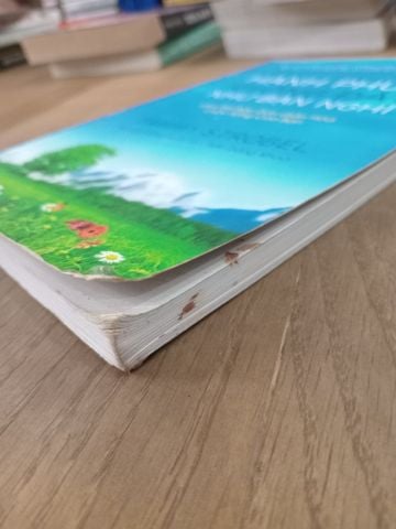 Hạnh Phúc Không Đắt Như Bạn Nghĩ - Tammy Strobel