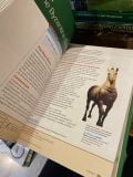  Discovering Our Past: A History of the World 