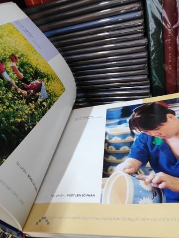  Tuyển Tập Ảnh Nghệ Thuật Bình Dương 30 Năm 1975 - 2005 