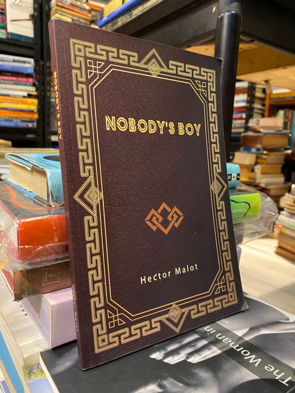  Nobody's Boy - Hector Malot 