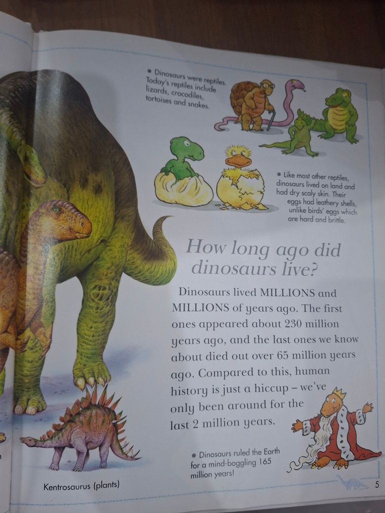  I Wonder Why Triceratops Had Horns And Other Questions About Dinosaurs - Rod Theodorou 