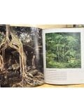  LIFE Nature Library : The Land And Wildlife Of Tropical Asia 