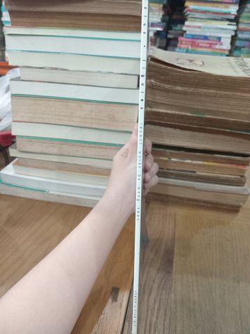  Recent works by Wong Keen - Lotus figures 