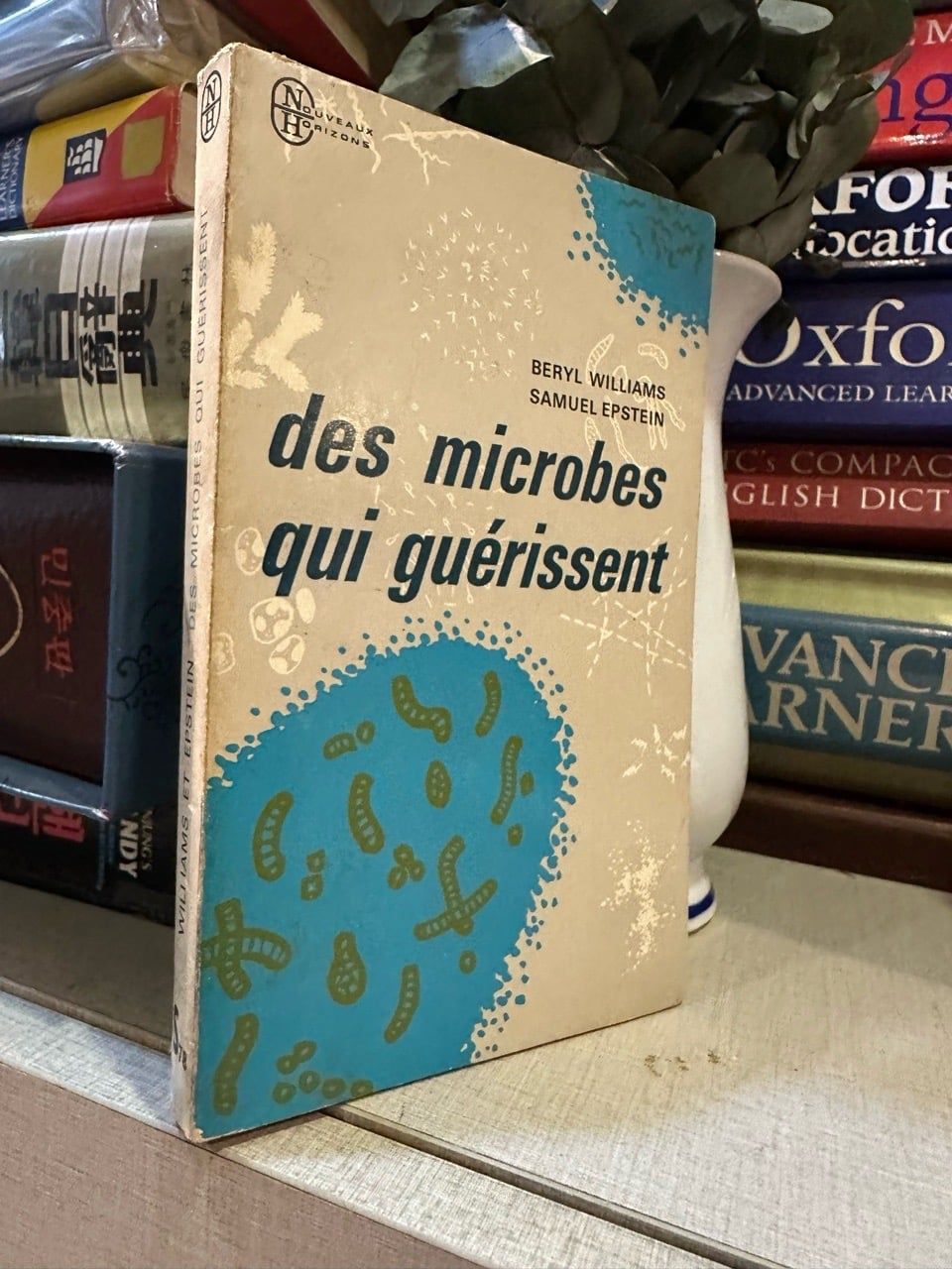 Des microbes qui guerissent 