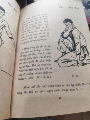 Bắc Phái Tây Sơn (Võ Bình Định) - Nguyễn Xuân Bình