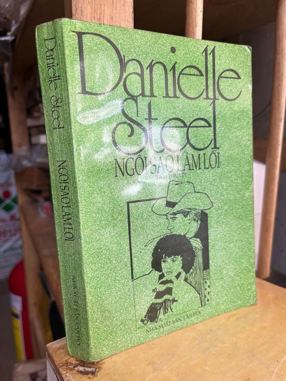  Ngôi sao lầm lỗi - Danielle Steel 