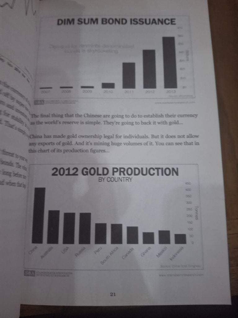  America 2020 The Survival Blueprint - Porter Stansberry 