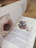  A Color Guide to Tarantulas of the World - Russ Gurley 