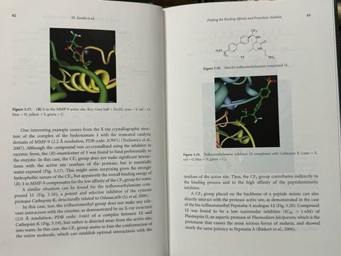 Fluorine in Pharmaceutical and Medicinal Chemistry