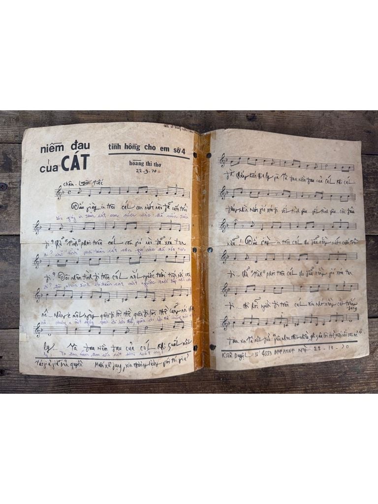  Niềm Đau Của Cát - Hoàng Thi Thơ 