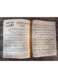  Niềm Đau Của Cát - Hoàng Thi Thơ 