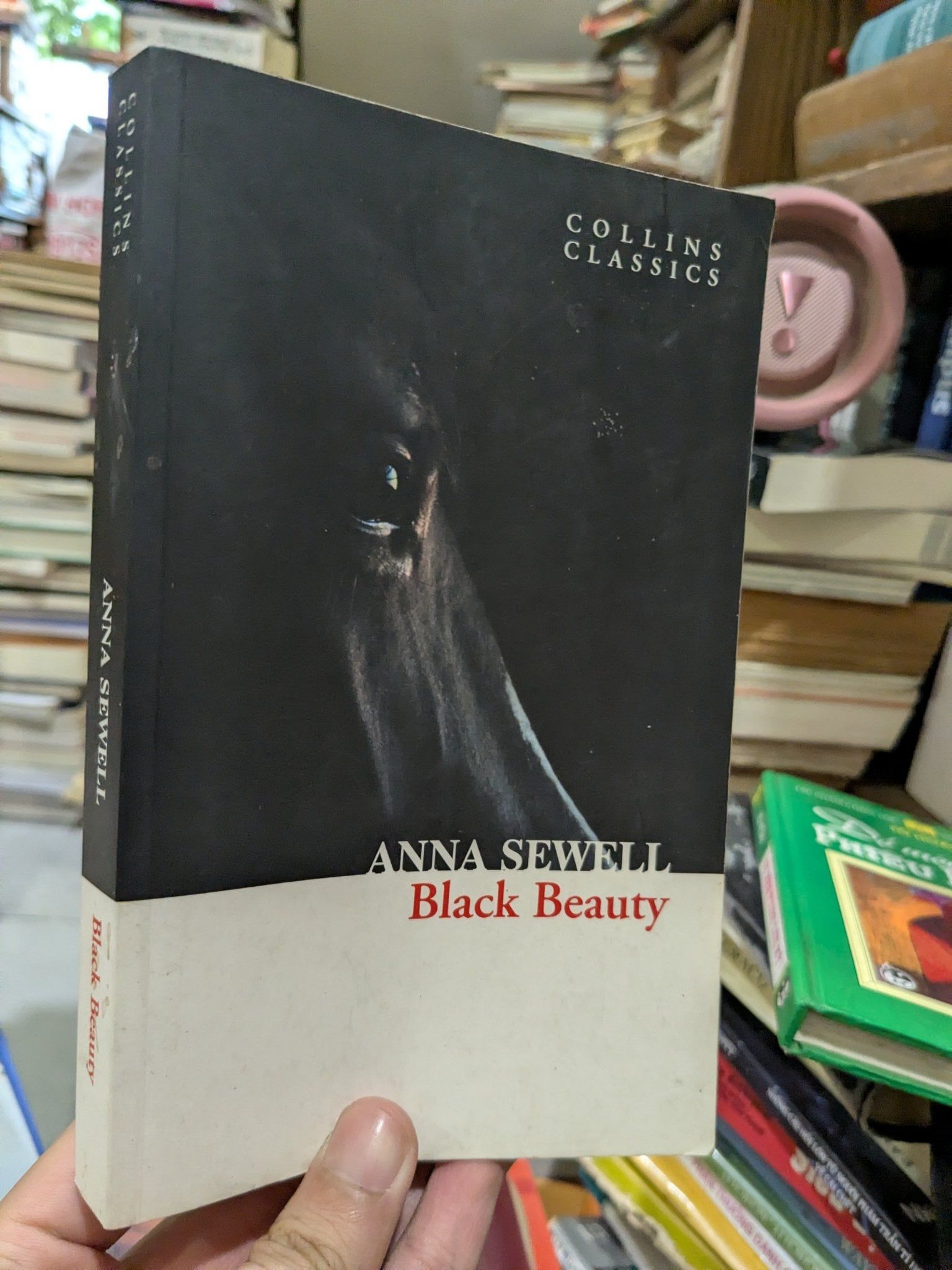  Black Beauty - Anna Sewell 