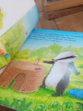  Badger and the Great Rescue - Suzanne Chiew, Caroline Pedler - Little Tiger Press 