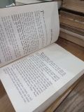  Gã con lai và người mẫu - Colin Falconer 