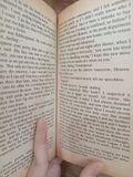  Fallen hearts - Virginia Andrews 
