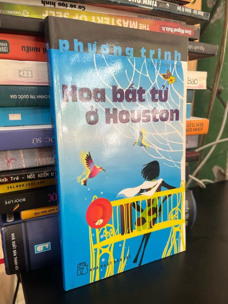  Hoa bất tử ở Houston - Phương Trinh 