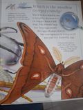  I Wonder Why Spiders Spin Webs And Other Questions About Creepy Crawlies - Amanda O'Neill 