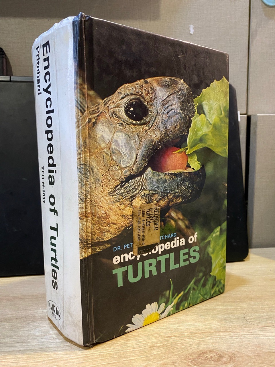 t.f.h. Encyclopedia of Turtles 洋書 of Encyclopedia Turtles swamp