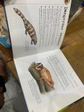  Bulletpoints About Animals 