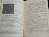  Di truyền học đại cương - N.P.Đubinin ( người dịch Trần Đình Miên và Phan Cự Nhân ) 