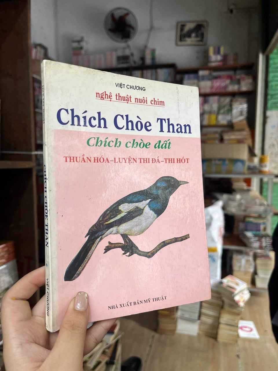  Nghệ thuật nuôi chim chích choè than - Việt Chương 